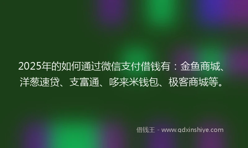 2025年的如何通过微信支付借钱有：金鱼商城、洋葱速贷、支富通、哆来米钱包、极客商城等。