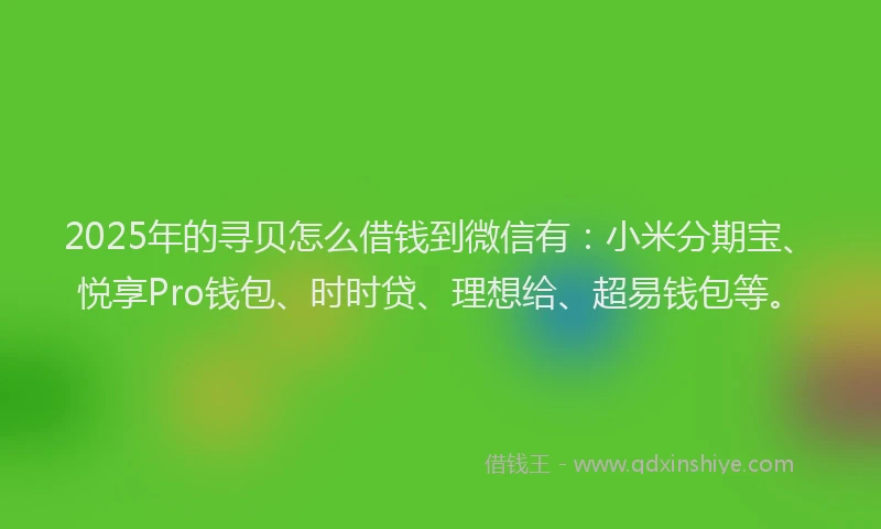 2025年的寻贝怎么借钱到微信有：小米分期宝、悦享Pro钱包、时时贷、理想给、超易钱包等。