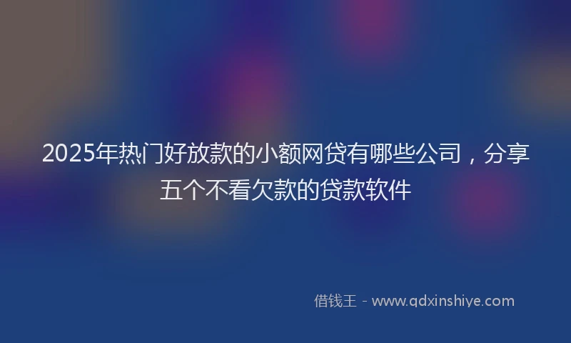2025年热门好放款的小额网贷有哪些公司，分享五个不看欠款的贷款软件