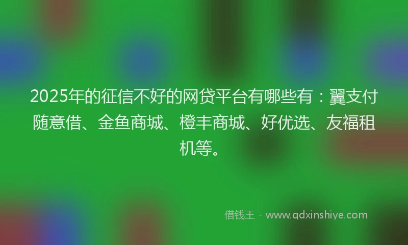 2025年的征信不好的网贷平台有哪些有：翼支付随意借、金鱼商城、橙丰商城、好优选、友福租机等。