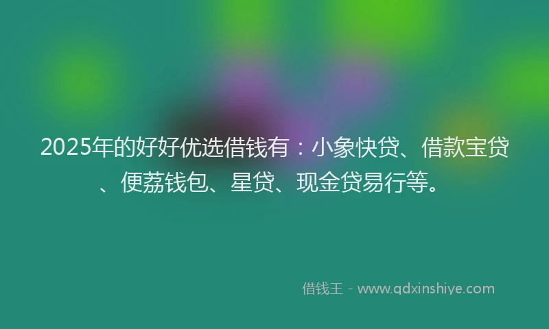 2025年的好好优选借钱有：小象快贷、借款宝贷、便荔钱包、星贷、现金贷易行等。