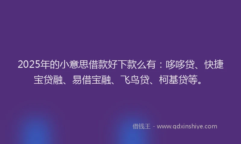 2025年的小意思借款好下款么有：哆哆贷、快捷宝贷融、易借宝融、飞鸟贷、柯基贷等。