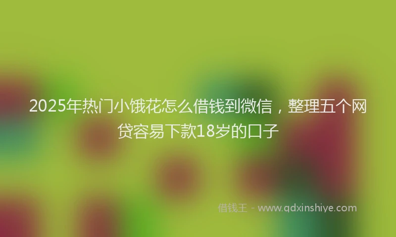 2025年热门小饿花怎么借钱到微信，整理五个网贷容易下款18岁的口子