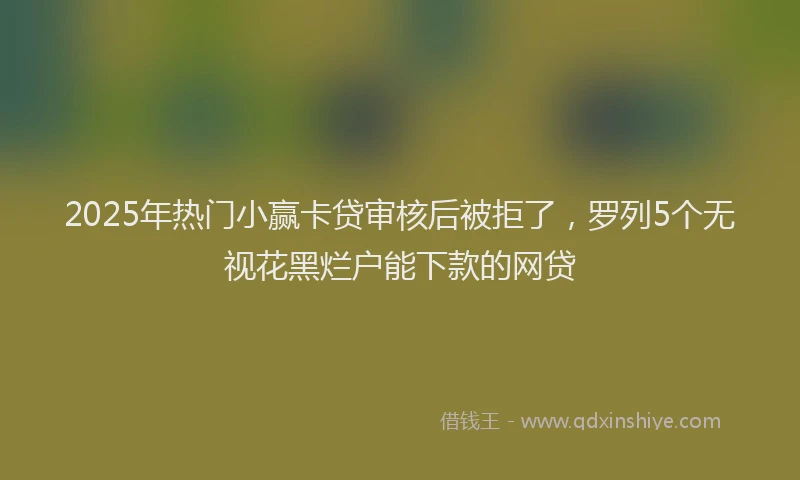 2025年热门小赢卡贷审核后被拒了，罗列5个无视花黑烂户能下款的网贷