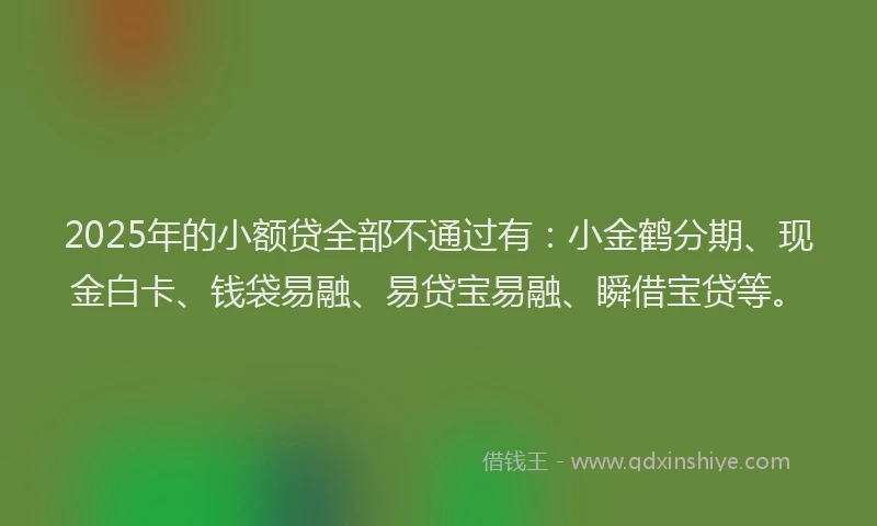 2025年的小额贷全部不通过有：小金鹤分期、现金白卡、钱袋易融、易贷宝易融、瞬借宝贷等。
