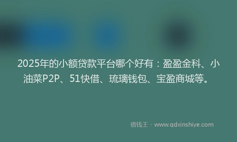 2025年的小额贷款平台哪个好有：盈盈金科、小油菜P2P、51快借、琉璃钱包、宝盈商城等。