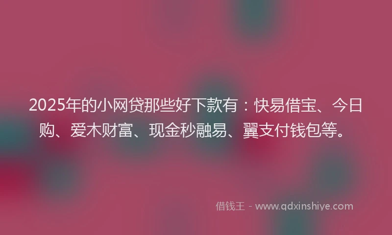 2025年的小网贷那些好下款有：快易借宝、今日购、爱木财富、现金秒融易、翼支付钱包等。