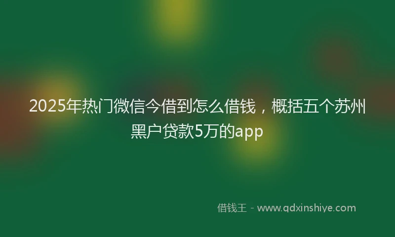 2025年热门微信今借到怎么借钱，概括五个苏州黑户贷款5万的app