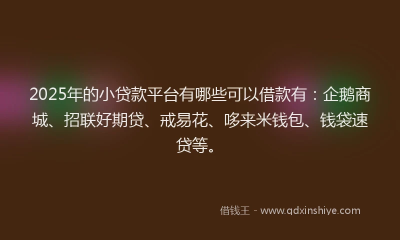 2025年的小贷款平台有哪些可以借款有：企鹅商城、招联好期贷、戒易花、哆来米钱包、钱袋速贷等。