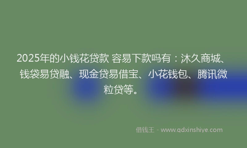 2025年的小钱花贷款 容易下款吗有：沐久商城、钱袋易贷融、现金贷易借宝、小花钱包、腾讯微粒贷等。