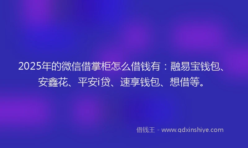 2025年的微信借掌柜怎么借钱有：融易宝钱包、安鑫花、平安i贷、速享钱包、想借等。