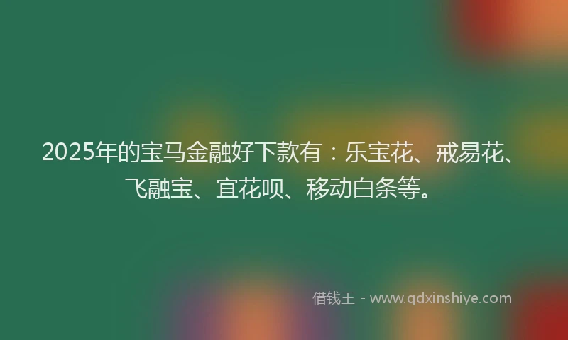 2025年的宝马金融好下款有：乐宝花、戒易花、飞融宝、宜花呗、移动白条等。