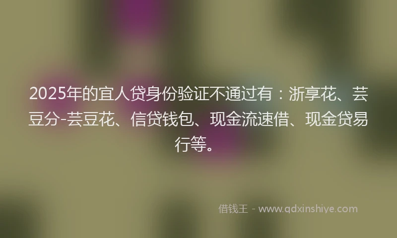 2025年的宜人贷身份验证不通过有：浙享花、芸豆分-芸豆花、信贷钱包、现金流速借、现金贷易行等。