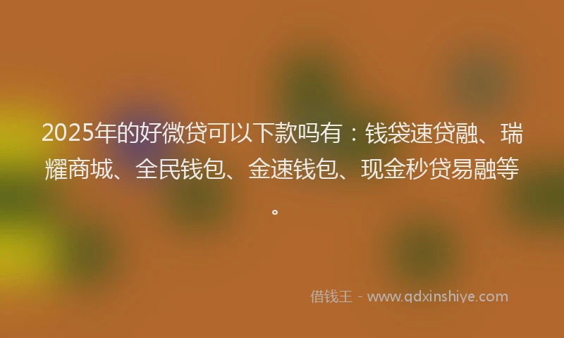 2025年的好微贷可以下款吗有：钱袋速贷融、瑞耀商城、全民钱包、金速钱包、现金秒贷易融等。