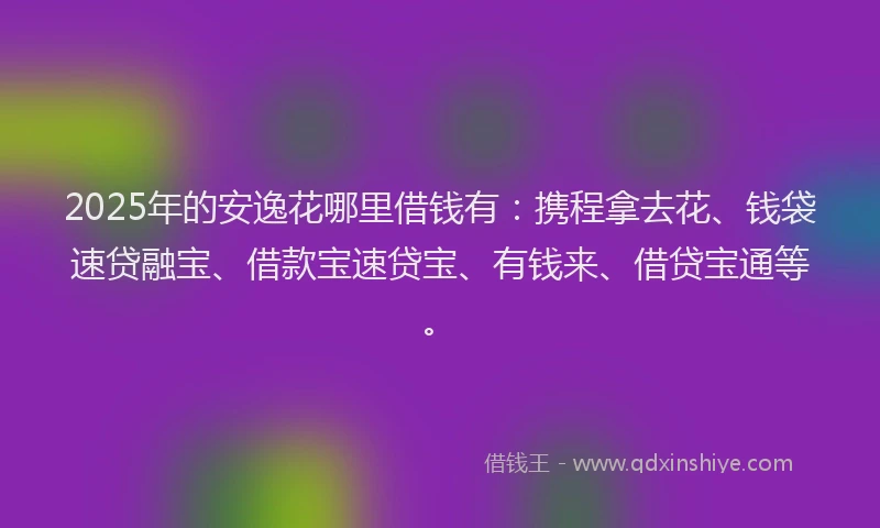 2025年的安逸花哪里借钱有：携程拿去花、钱袋速贷融宝、借款宝速贷宝、有钱来、借贷宝通等。