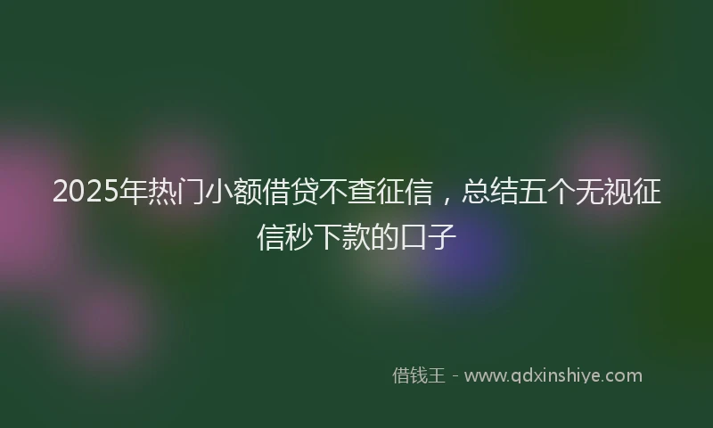 2025年热门小额借贷不查征信，总结五个无视征信秒下款的口子