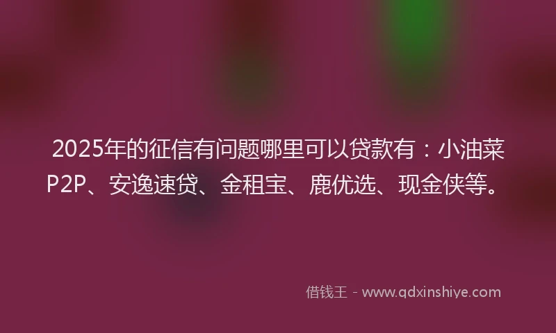 2025年的征信有问题哪里可以贷款有：小油菜P2P、安逸速贷、金租宝、鹿优选、现金侠等。