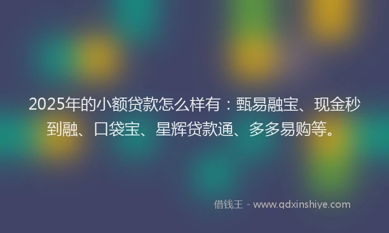 2025年的小额贷款怎么样有：甄易融宝、现金秒到融、口袋宝、星辉贷款通、多多易购等。