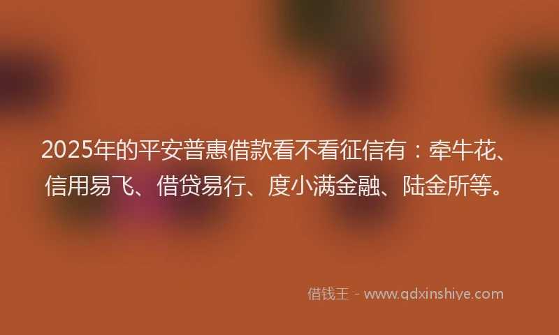 2025年的平安普惠借款看不看征信有：牵牛花、信用易飞、借贷易行、度小满金融、陆金所等。