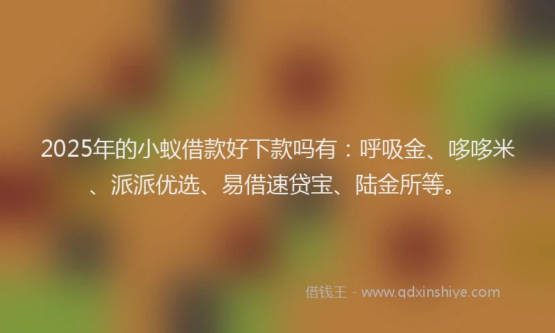2025年的小蚁借款好下款吗有：呼吸金、哆哆米、派派优选、易借速贷宝、陆金所等。