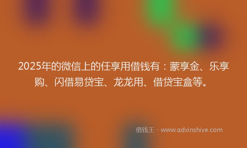 2025年的微信上的任享用借钱有：蒙享金、乐享购、闪借易贷宝、龙龙用、借贷宝盒等。
