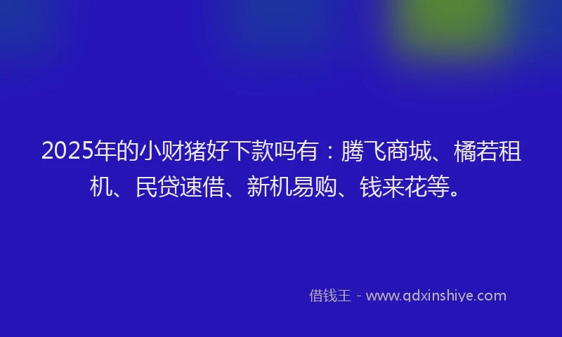 2025年的小财猪好下款吗有：腾飞商城、橘若租机、民贷速借、新机易购、钱来花等。