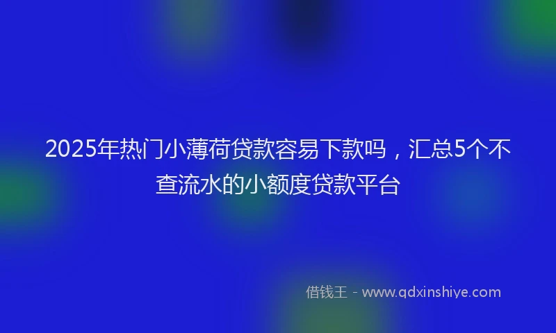 2025年热门小薄荷贷款容易下款吗，汇总5个不查流水的小额度贷款平台