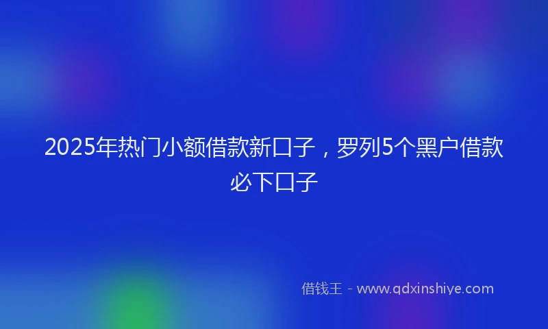 2025年热门小额借款新口子，罗列5个黑户借款必下口子