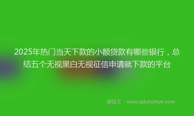 2025年热门当天下款的小额贷款有哪些银行，总结五个无视黑白无视征信申请就下款的平台