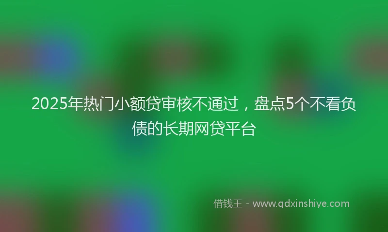 2025年热门小额贷审核不通过，盘点5个不看负债的长期网贷平台