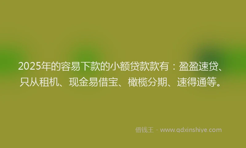 2025年的容易下款的小额贷款款有：盈盈速贷、只从租机、现金易借宝、橄榄分期、速得通等。