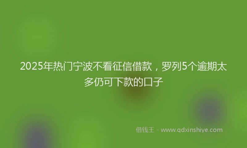 2025年热门宁波不看征信借款，罗列5个逾期太多仍可下款的口子