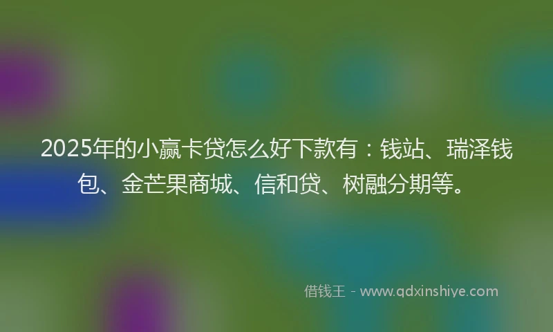 2025年的小赢卡贷怎么好下款有：钱站、瑞泽钱包、金芒果商城、信和贷、树融分期等。