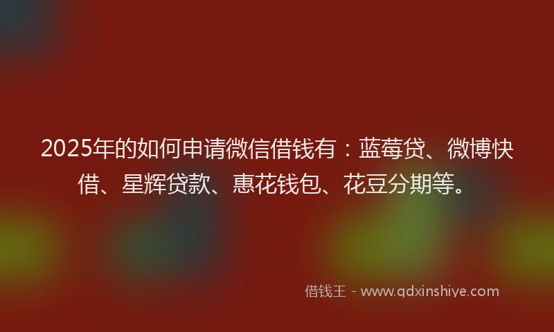 2025年的如何申请微信借钱有：蓝莓贷、微博快借、星辉贷款、惠花钱包、花豆分期等。