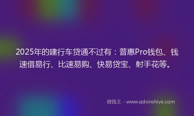 2025年的建行车贷通不过有：普惠Pro钱包、钱速借易行、比速易购、快易贷宝、射手花等。