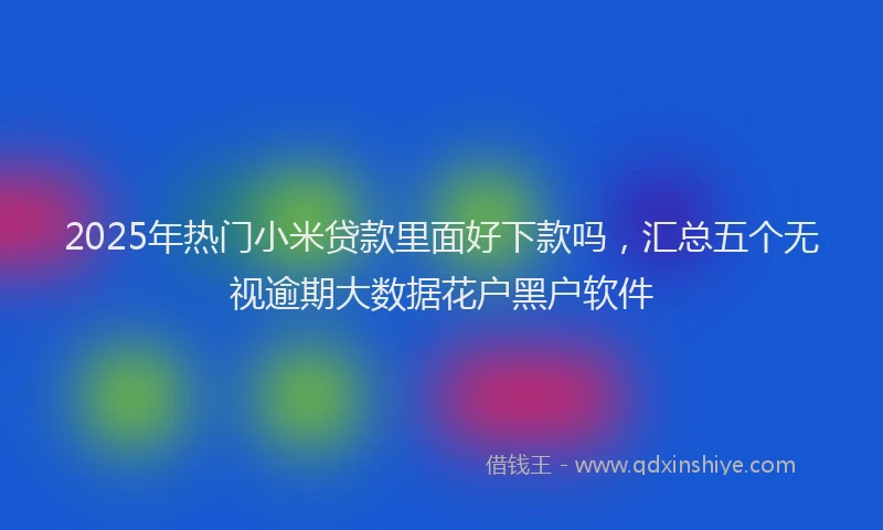 2025年热门小米贷款里面好下款吗，汇总五个无视逾期大数据花户黑户软件