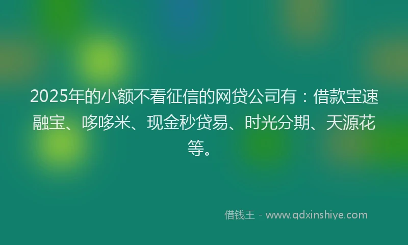 2025年的小额不看征信的网贷公司有：借款宝速融宝、哆哆米、现金秒贷易、时光分期、天源花等。