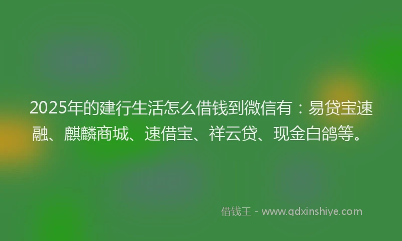 2025年的建行生活怎么借钱到微信有：易贷宝速融、麒麟商城、速借宝、祥云贷、现金白鸽等。