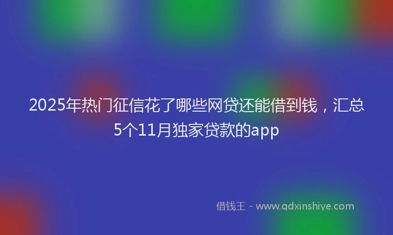 2025年热门征信花了哪些网贷还能借到钱，汇总5个11月独家贷款的app