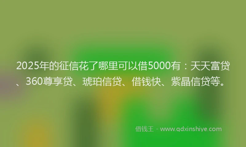 2025年的征信花了哪里可以借5000有：天天富贷、360尊享贷、琥珀信贷、借钱快、紫晶信贷等。