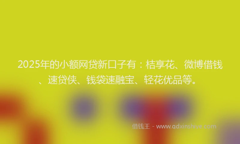 2025年的小额网贷新口子有：桔享花、微博借钱、速贷侠、钱袋速融宝、轻花优品等。
