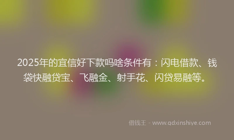 2025年的宜信好下款吗啥条件有：闪电借款、钱袋快融贷宝、飞融金、射手花、闪贷易融等。