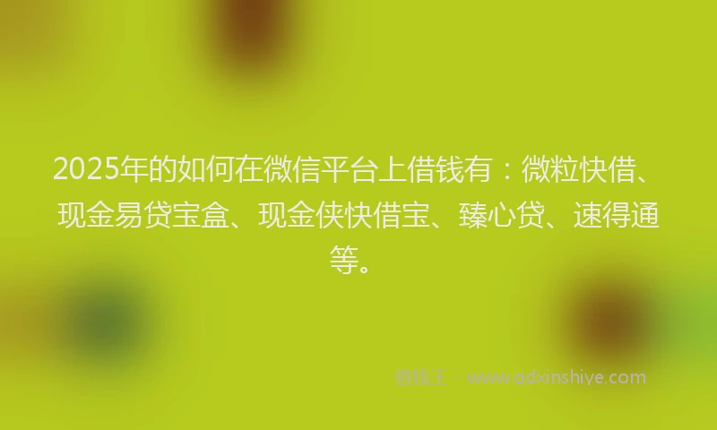 2025年的如何在微信平台上借钱有：微粒快借、现金易贷宝盒、现金侠快借宝、臻心贷、速得通等。