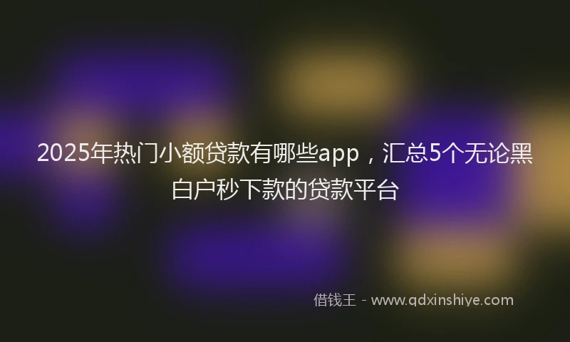 2025年热门小额贷款有哪些app，汇总5个无论黑白户秒下款的贷款平台