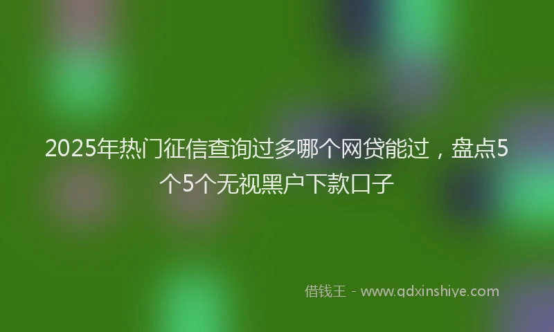2025年热门征信查询过多哪个网贷能过，盘点5个5个无视黑户下款口子