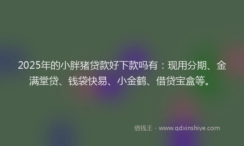 2025年的小胖猪贷款好下款吗有：现用分期、金满堂贷、钱袋快易、小金鹤、借贷宝盒等。