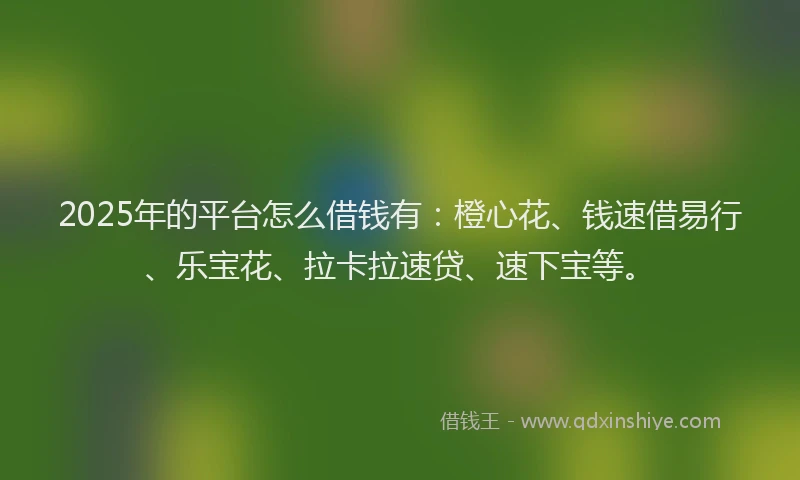 2025年的平台怎么借钱有：橙心花、钱速借易行、乐宝花、拉卡拉速贷、速下宝等。