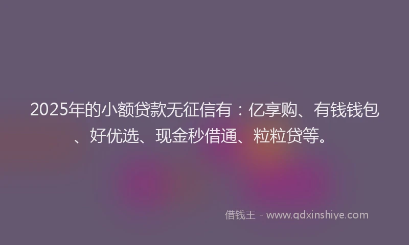 2025年的小额贷款无征信有：亿享购、有钱钱包、好优选、现金秒借通、粒粒贷等。