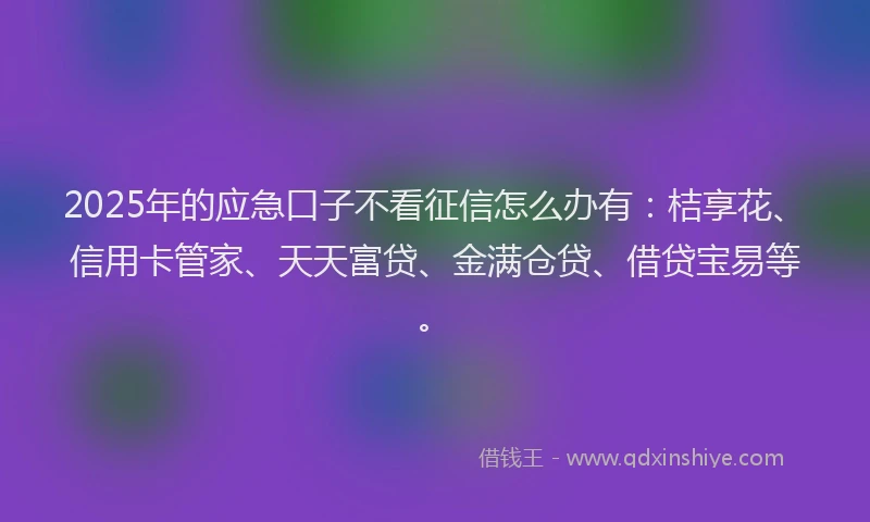 2025年的应急口子不看征信怎么办有：桔享花、信用卡管家、天天富贷、金满仓贷、借贷宝易等。