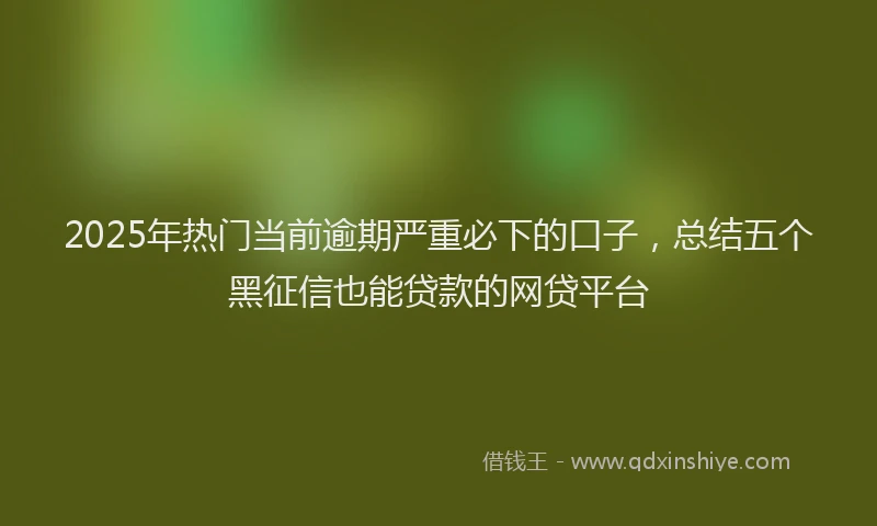 2025年热门当前逾期严重必下的口子，总结五个黑征信也能贷款的网贷平台